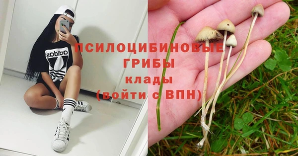 spice Осташков