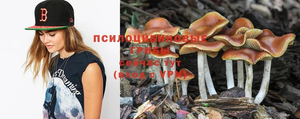 spice Осташков