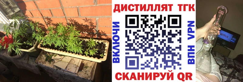 Купить закладки  Ишим  Дистиллят ТГК Wax 